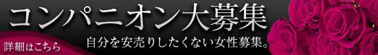 コンパニオン大募集